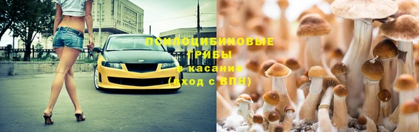 метамфетамин Богданович