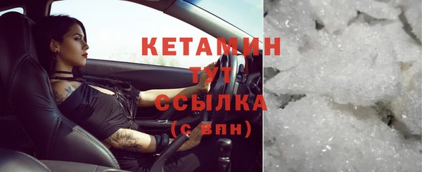 прущий лед Бородино