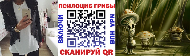 блэк спрут ссылка  Котельниково  сайты даркнета официальный сайт  Галлюциногенные грибы Cubensis 