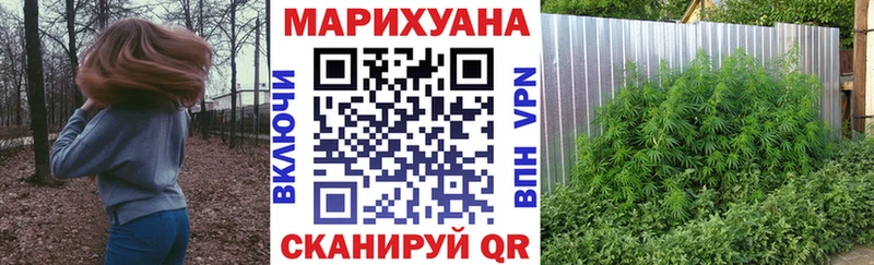 что такое   Котельниково  Каннабис гибрид 